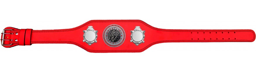 WRESTLING CHAMPIONSHIP BELT-BUD003/S/WRESTGEMS-4 COLOURS